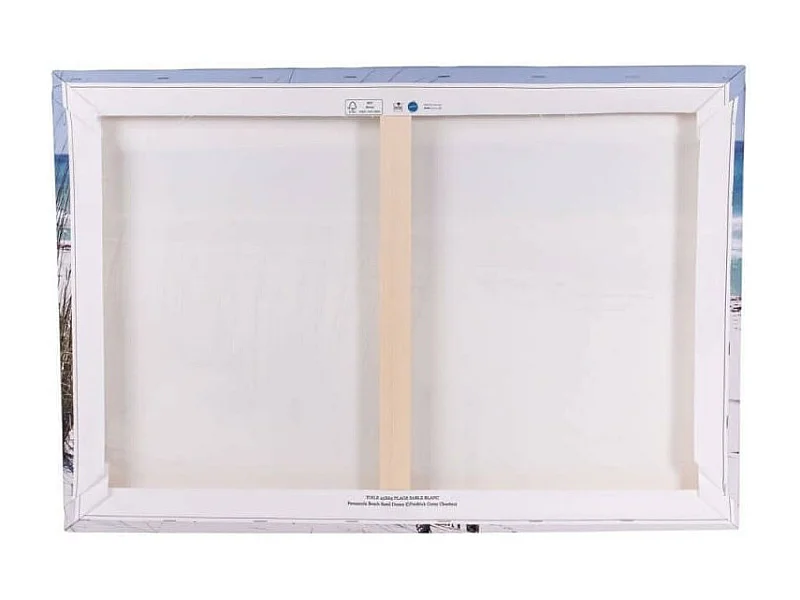 Tableau sur toile le Canigou 30x45 cm