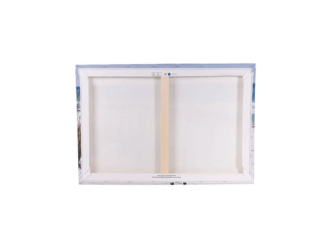 Tableau sur toile le Canigou 30x45 cm