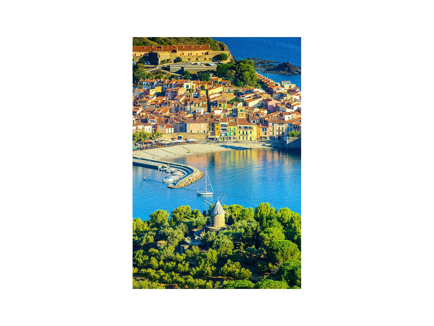 Tableau sur toile vue sur la plage de Collioure 45x65 cm