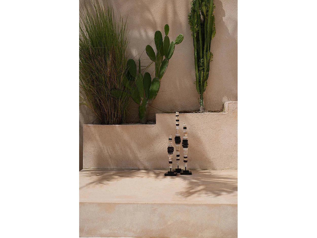 La Coquille d’Argent sur Pied - Noir Blanc - L