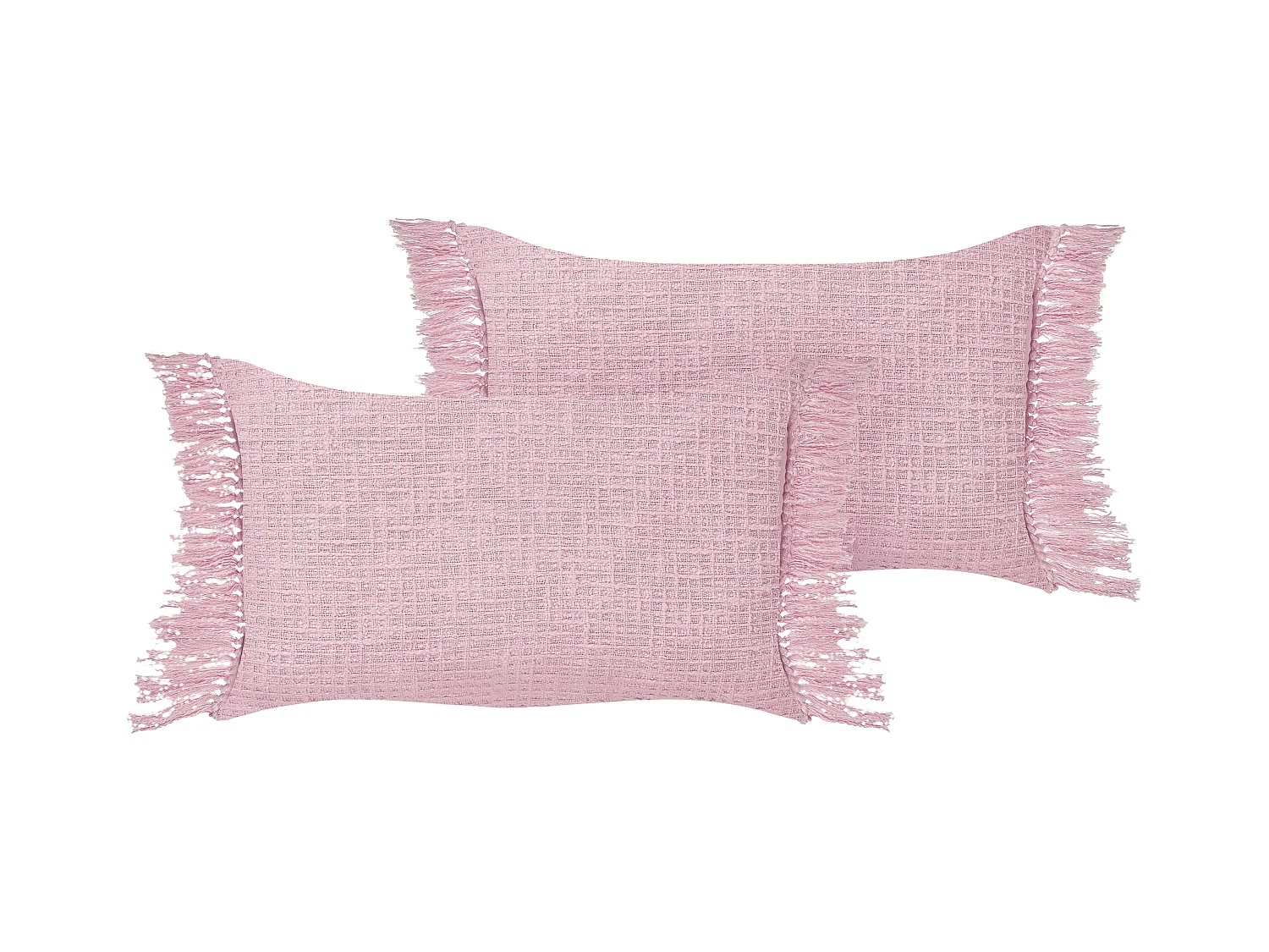 Lot de 2 coussins décoratifs TANSY Coton 40 x 60 cm Rose Unicolore