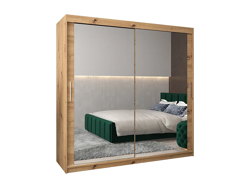 Schwebetürenschrank Tokyo 3 200/200/62 2-Türig (Artisan)