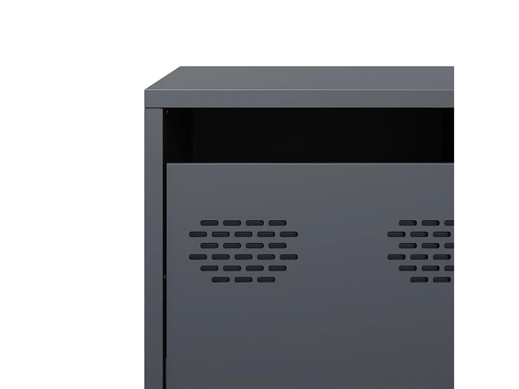 Meuble TV anthracite 101,5x39x43,5 cm acier laminé à froid