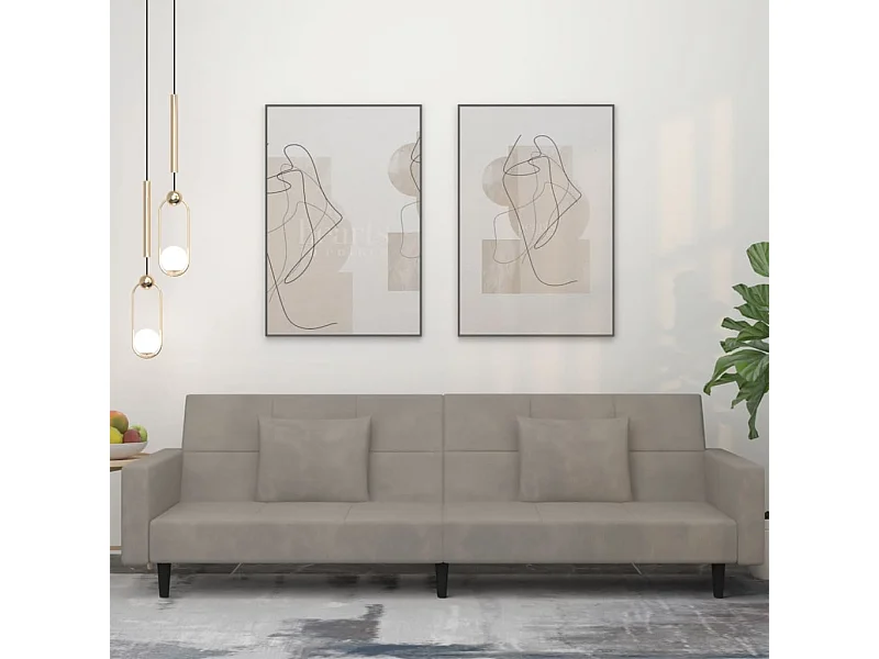 Canapé-lit à 2 places avec deux oreillers Gris clair Velours