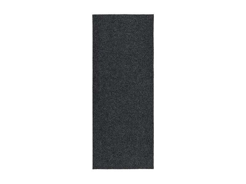 Alfombra de pasillo atrapa suciedad 100x250 cm gris antracita