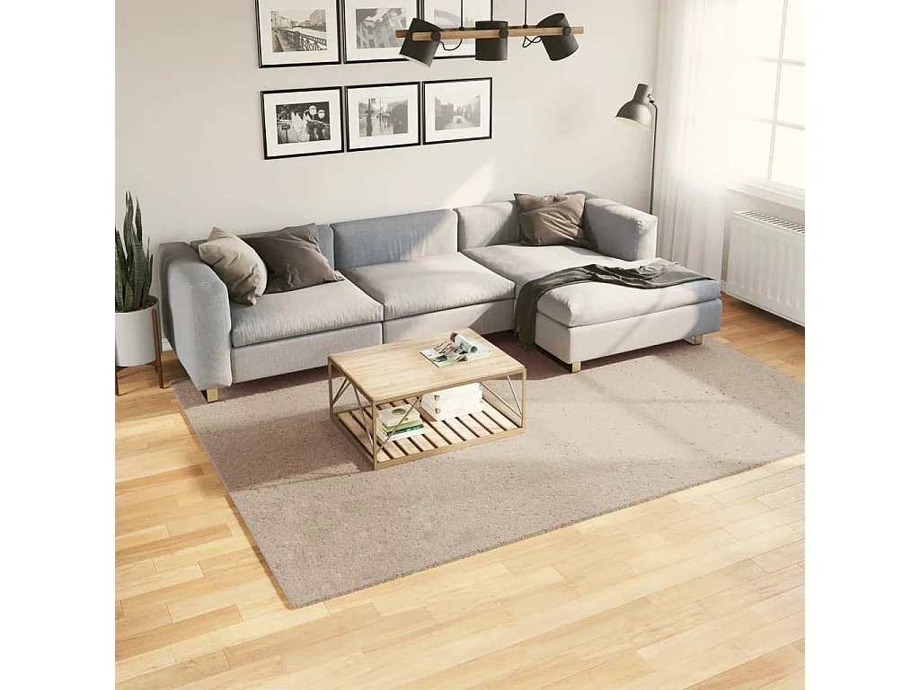 Tapis à poils courts doux et lavable sable 200x280 cm