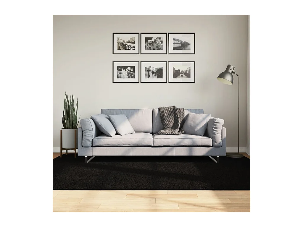 Tapis à poils courts doux et lavable noir 160x230 cm