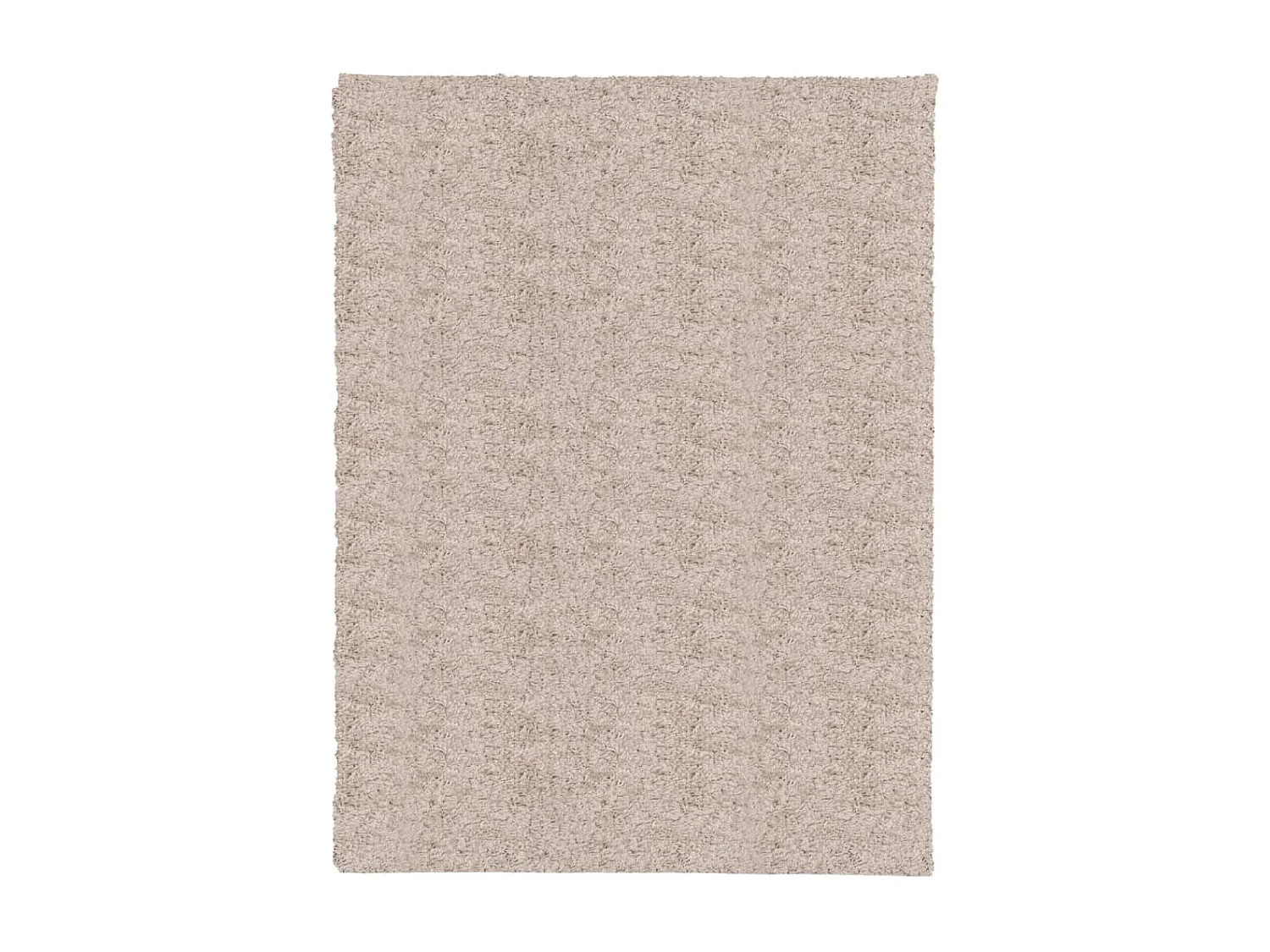 Tapis shaggy à poils longs moderne beige 300x400 cm