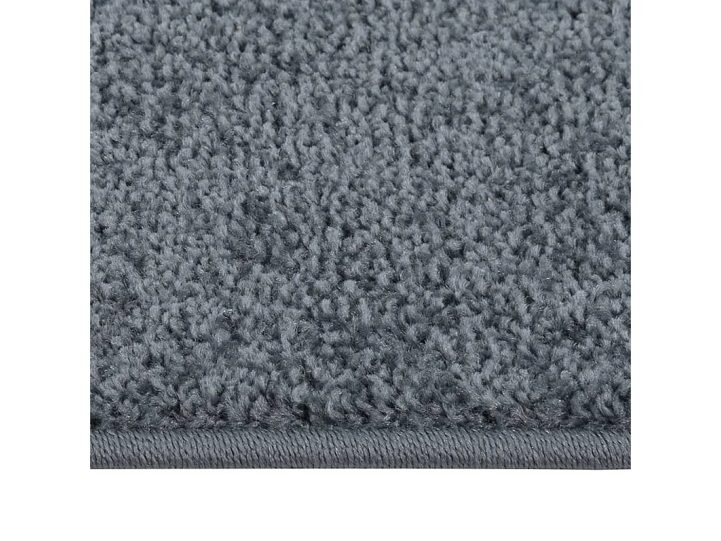 Tapis à poils courts 160x230 cm anthracite