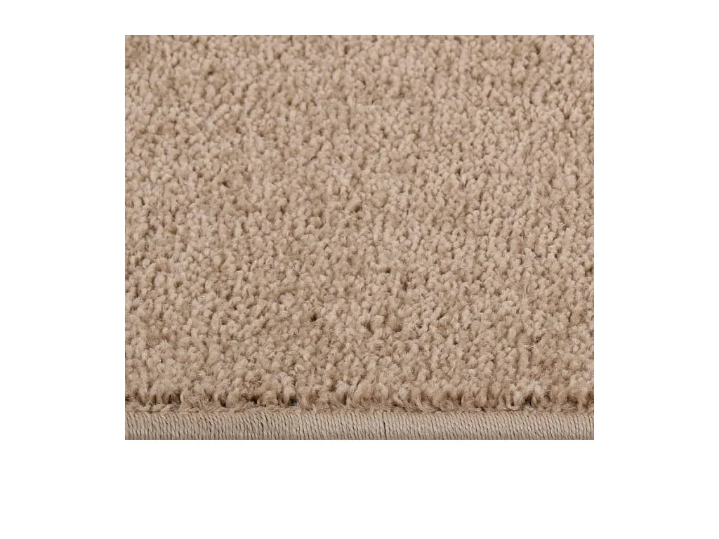 Tapis à poils courts 160x230 cm marron