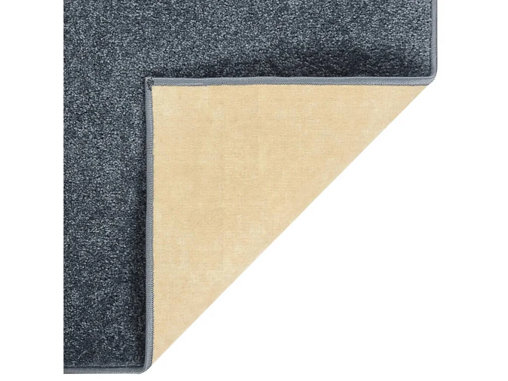 Tapis à poils courts 140x200 cm anthracite