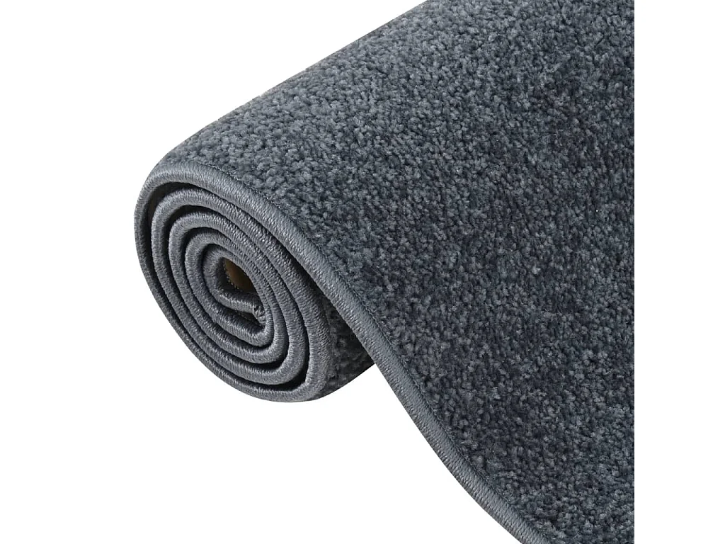 Tapis à poils courts 140x200 cm anthracite