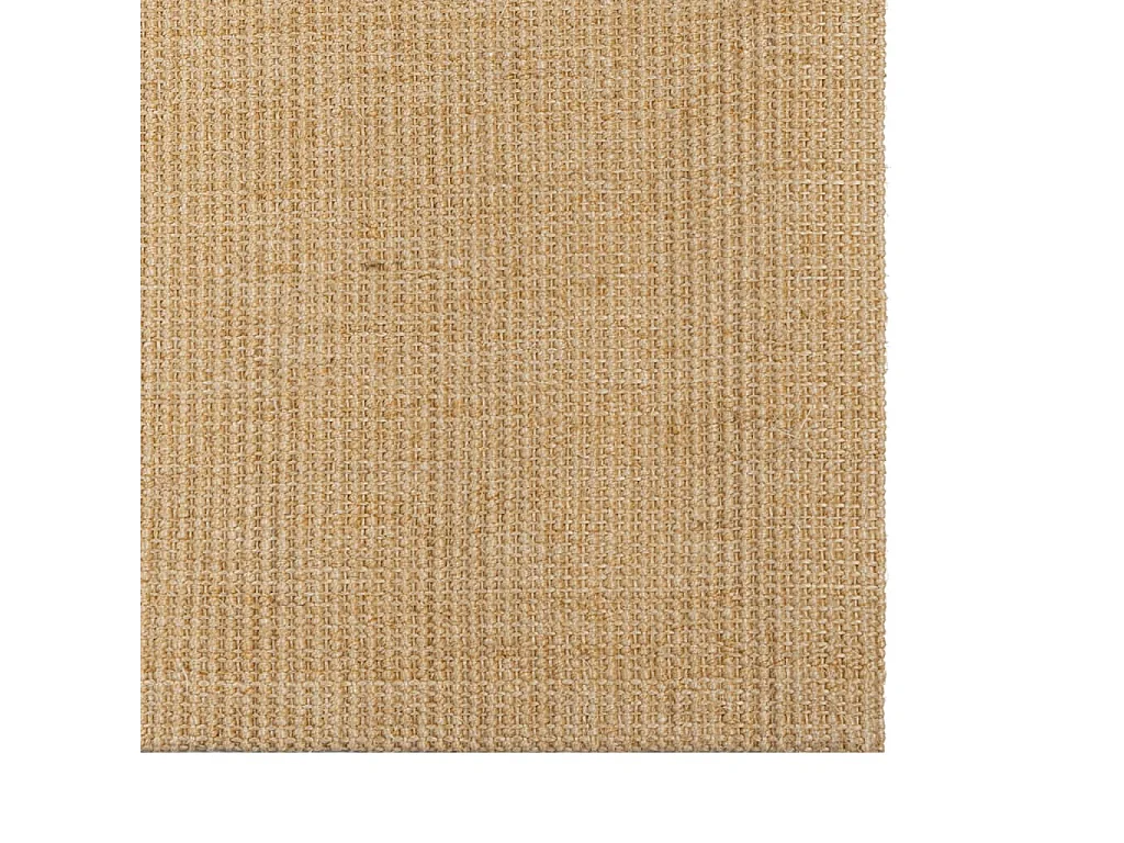 Tapis sisal naturel 80x100 cm