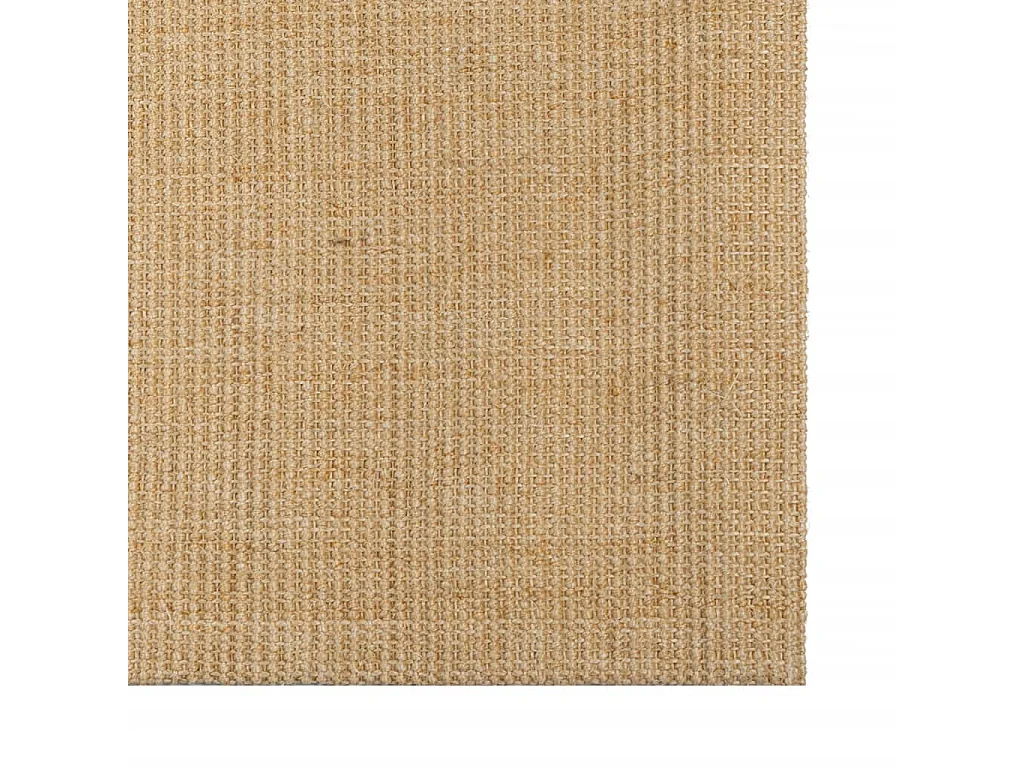Tapis sisal naturel 80x150 cm