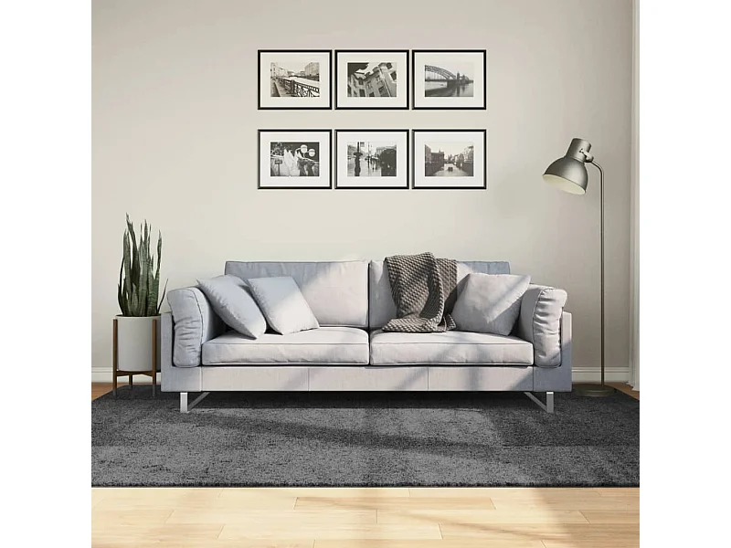 Tapete de pelo curto OVIEDO 160x230 cm antracite