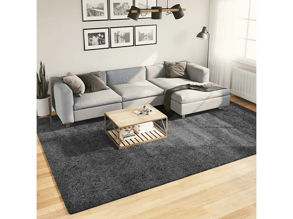 Tapete de pelo curto OVIEDO 240x340 cm antracite