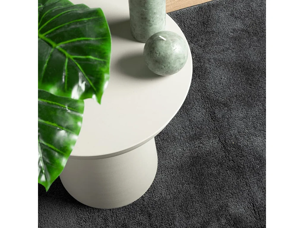 Tapete de pelo curto OVIEDO 240x340 cm antracite