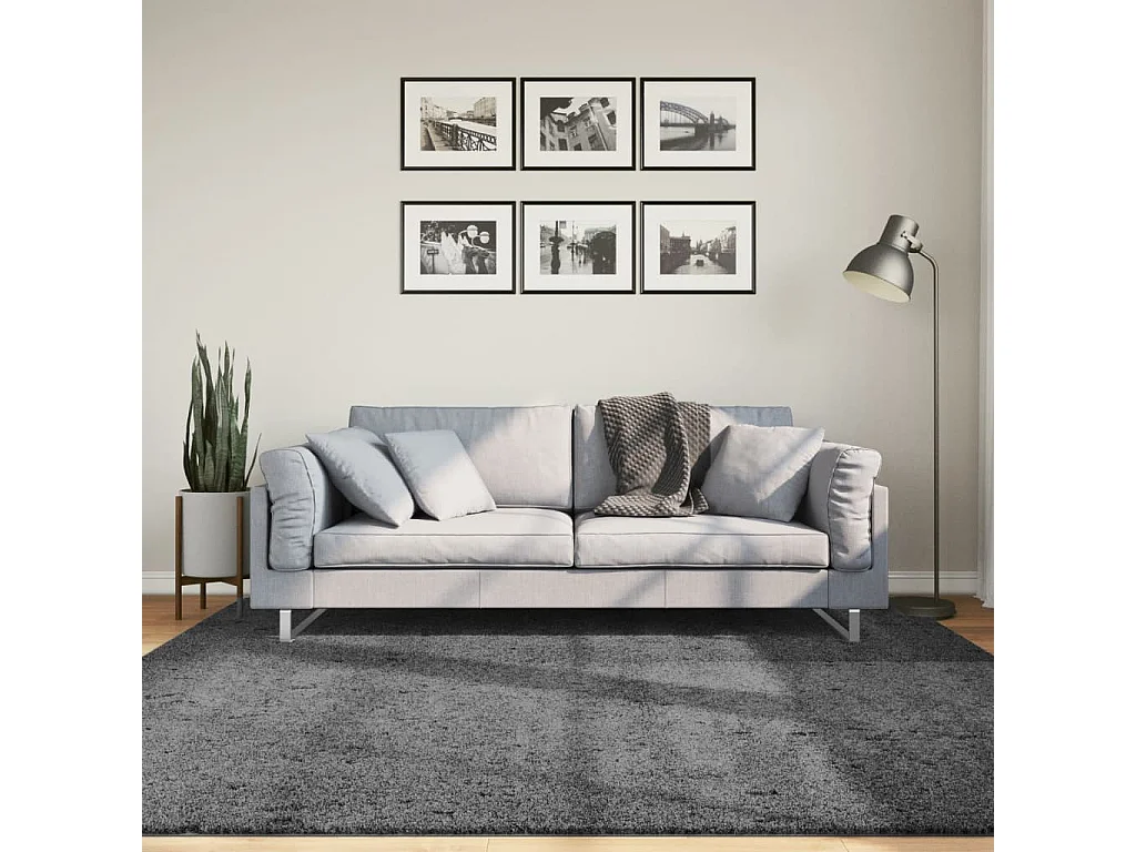 Tapete de pelo curto OVIEDO 200x200 cm antracite