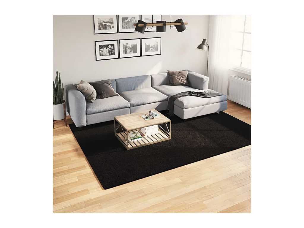 Tapis à poils courts doux et lavable noir 200x280 cm