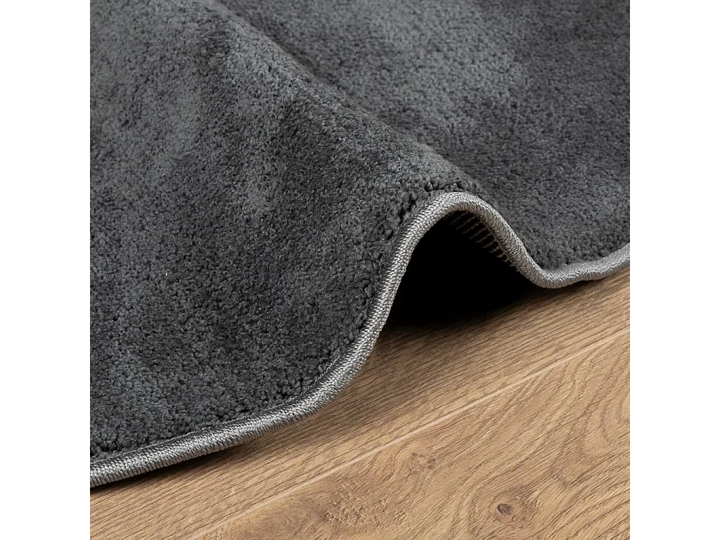 Tapis à poils courts anthracite ø 120 cm
