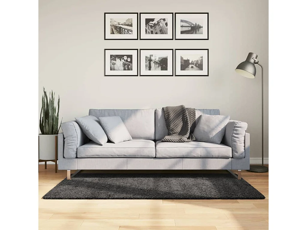 Tapis shaggy à poils longs moderne anthracite 120x170 cm