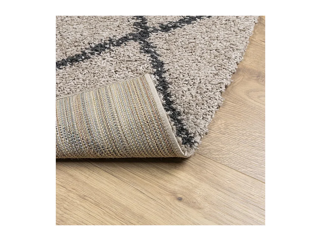 Tapis shaggy à poils longs moderne beige anthracite 120x170 cm