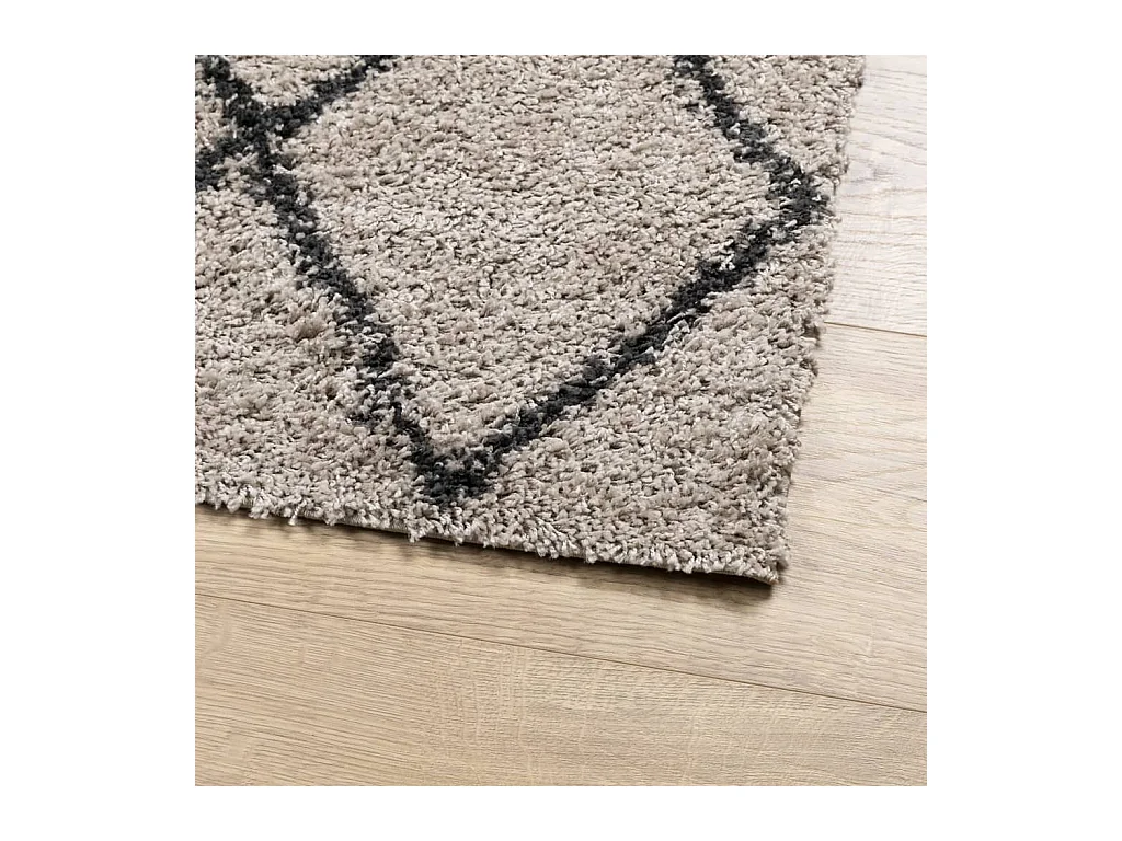 Tapis shaggy à poils longs moderne beige anthracite 120x170 cm