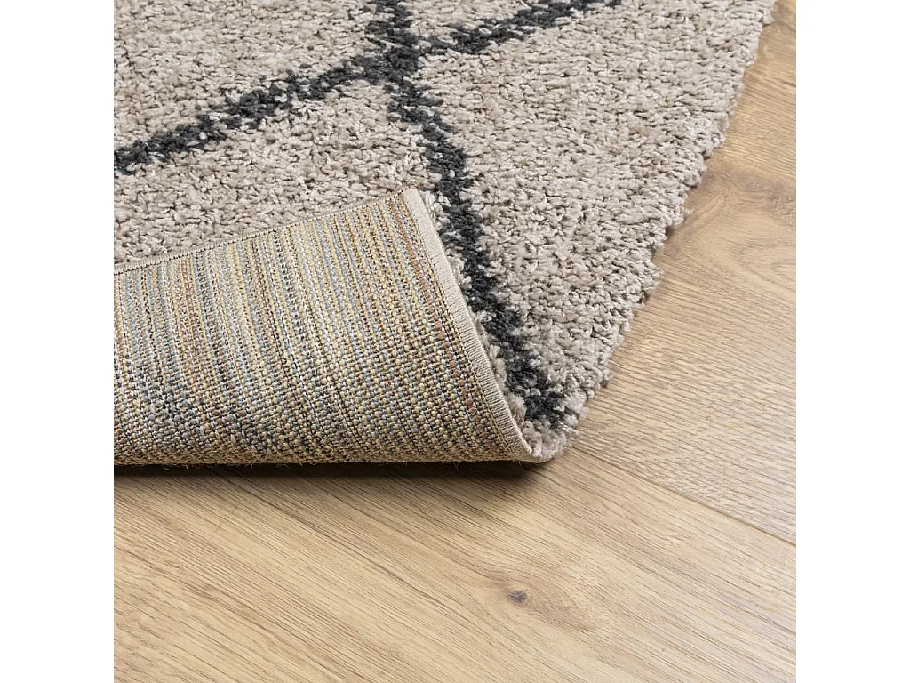 Tapis shaggy à poils longs moderne beige anthracite 240x240 cm