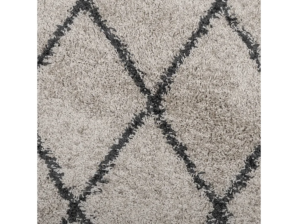 Tapis shaggy à poils longs moderne beige anthracite 240x240 cm