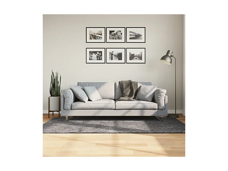 Tapis à poils courts doux et lavable anthracite 100x200 cm