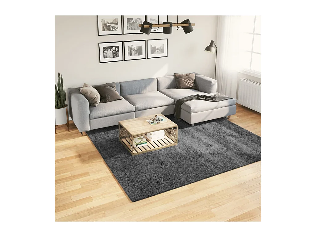 Tapis à poils courts anthracite 240x240 cm
