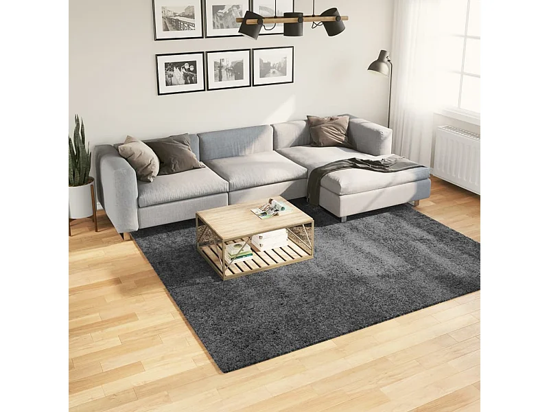 Tapis à poils courts anthracite 240x240 cm