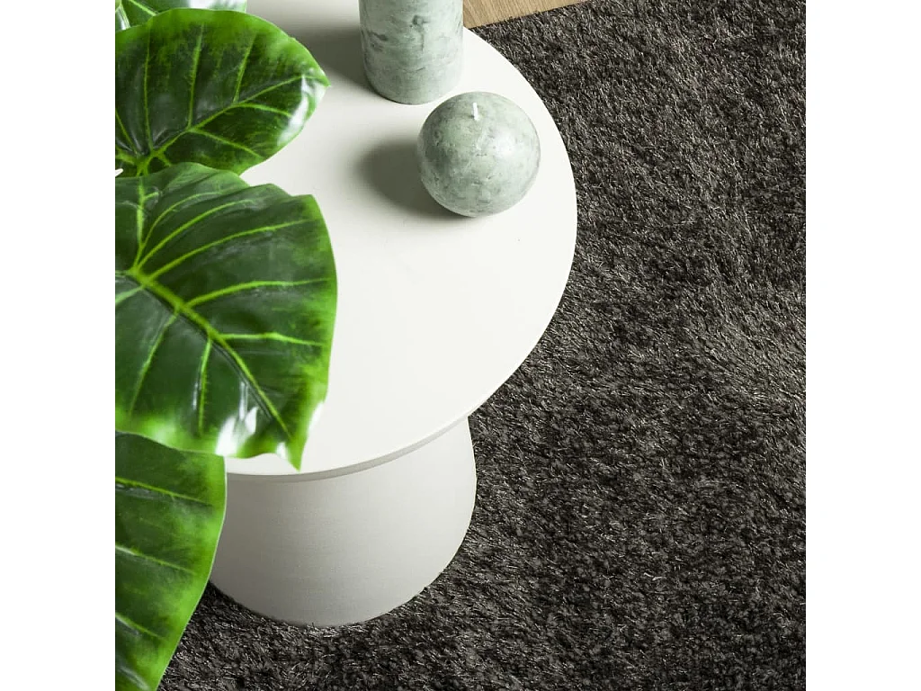 Tapis à poils longs aspect brillant anthracite 120x170 cm