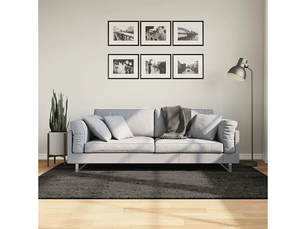 Tapis à poils longs aspect brillant anthracite 140x200 cm