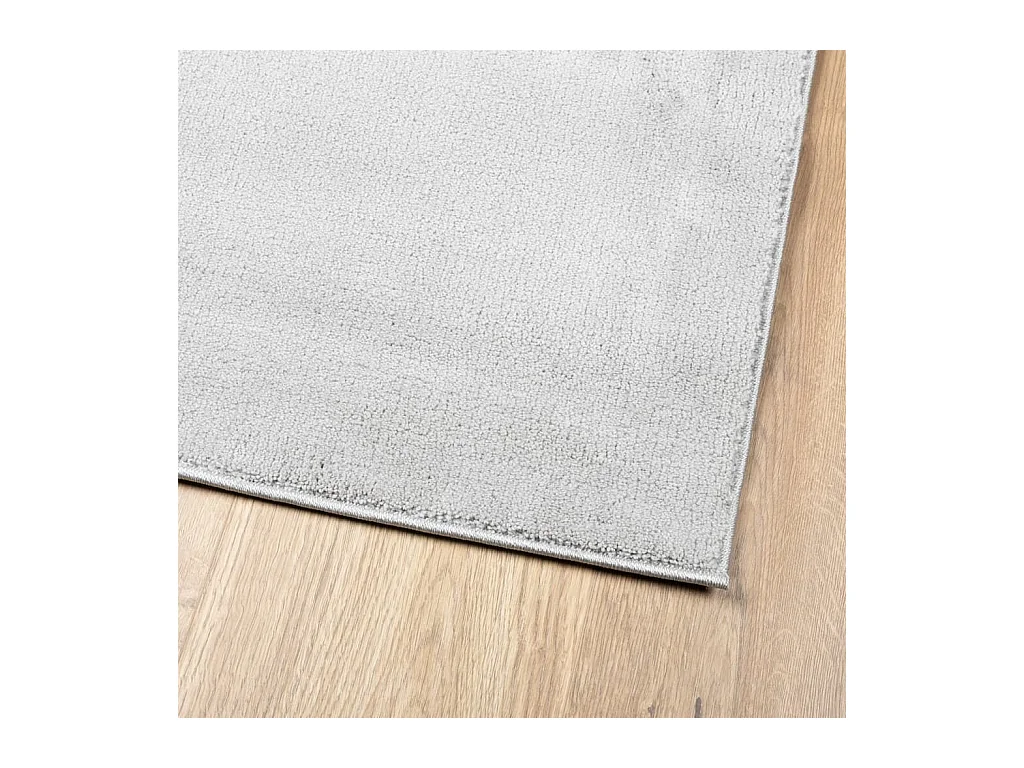 Tapis à poils courts gris 100x200 cm