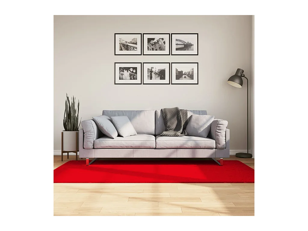 Tapis à poils courts doux et lavable rouge 100x200 cm