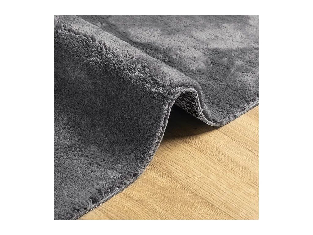 Alfombra de pelo corto suave y lavable gris antracita 80x250 cm