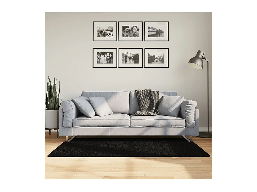 Tapis à poils courts doux et lavable noir 80x150 cm