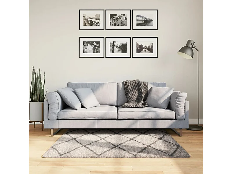 Tapis shaggy à poils longs moderne beige anthracite 120x120 cm