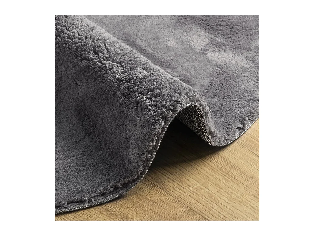 Tapis à poils courts doux et lavable anthracite ø 120 cm