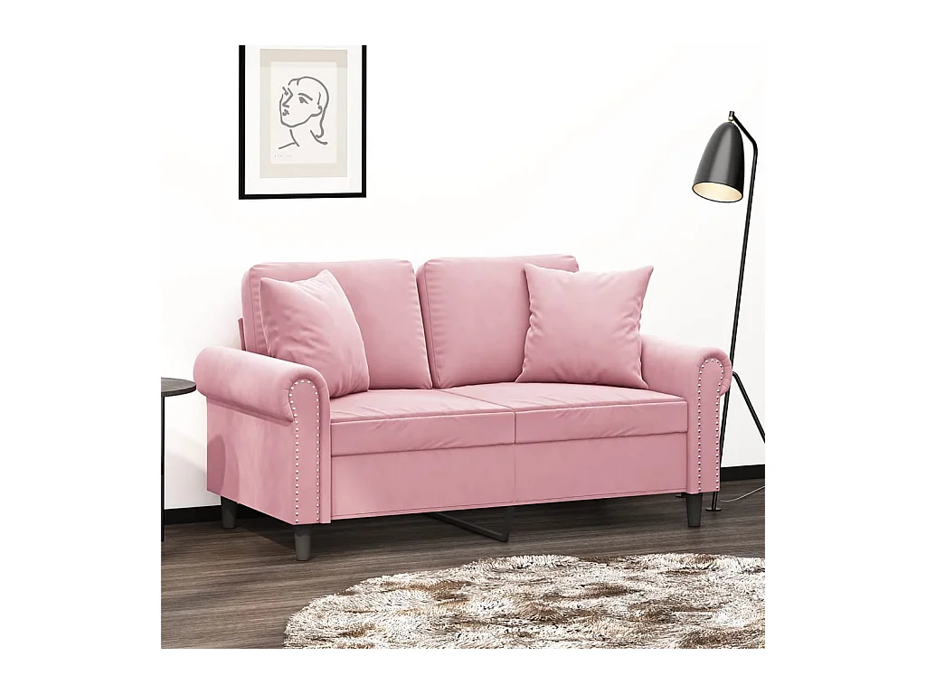 Canapé 2 places avec oreillers décoratifs rose 120 cm velours