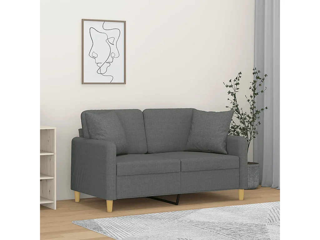 Sofá 2 lugares +almofadas decorativas 120cm tecido cinza-escuro