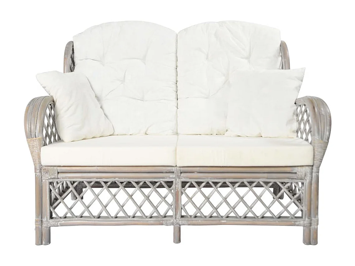 Tweezitsbank rattan grijs