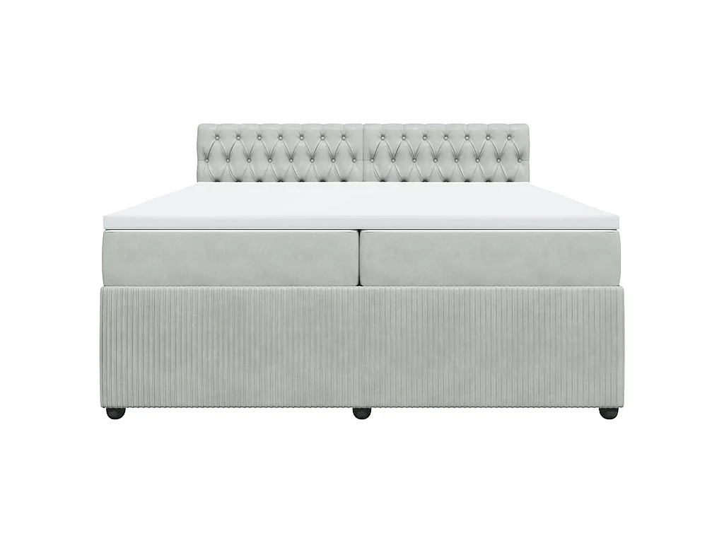 Cama com molas/colchão 200x200 cm veludo cinzento-claro