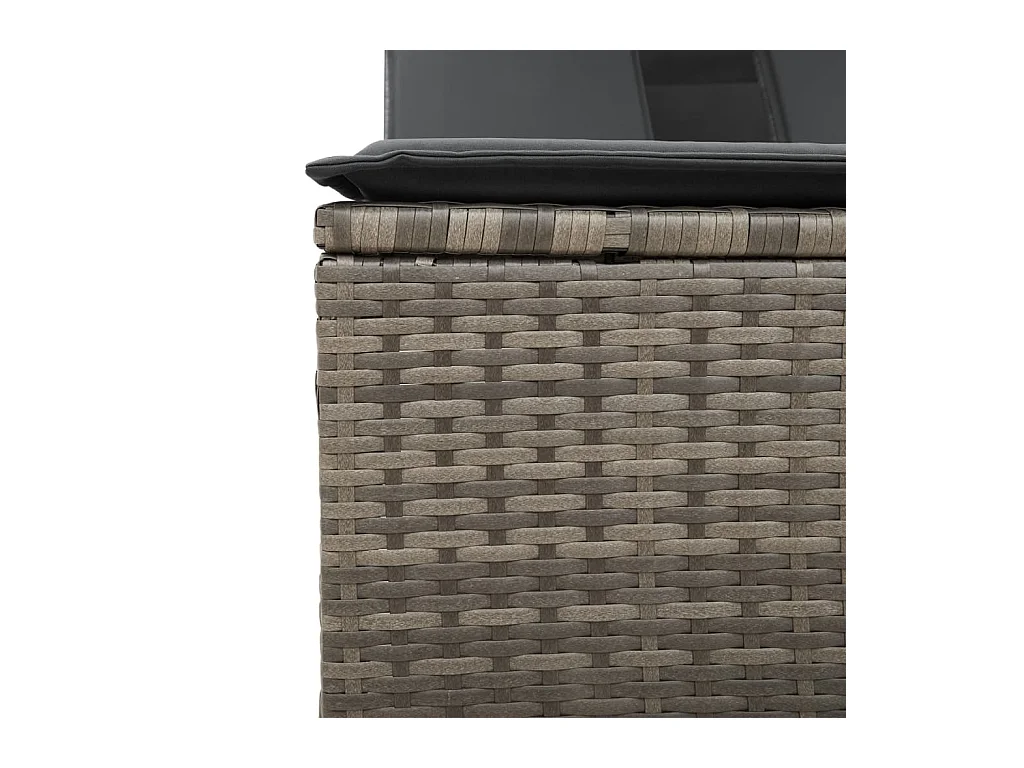 Chaise longue double et auvent et coussins gris résine tressée