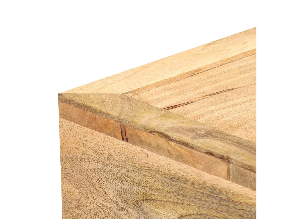 Table basse Style cassette 100x52x45 cm Bois de manguier massif