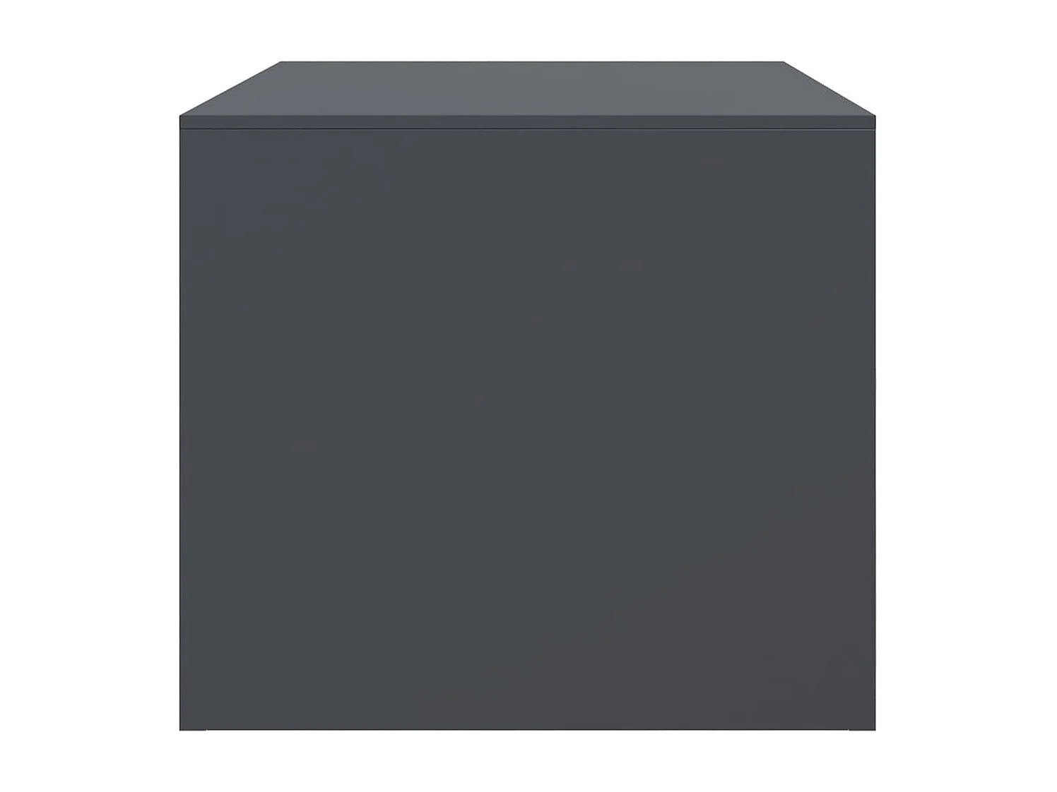 Salontafel 67x50x44 cm staal antracietkleurig