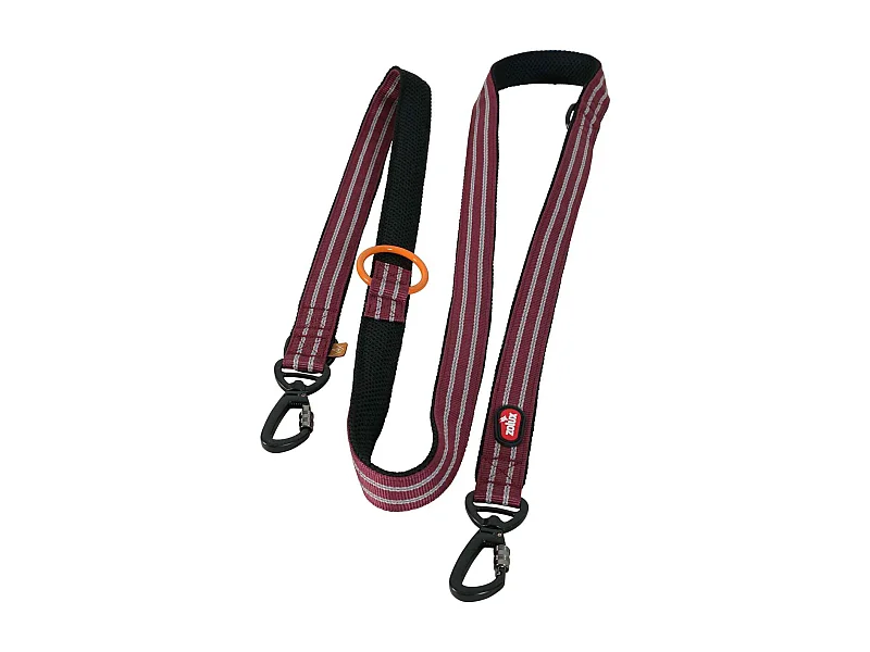 Laisse éducation 8 positions Bivouak 2 m