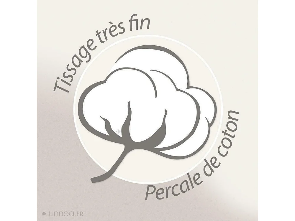 Parure de lit 140x200 cm 65x65 cm percale ESTEBAN beige 2 pièces