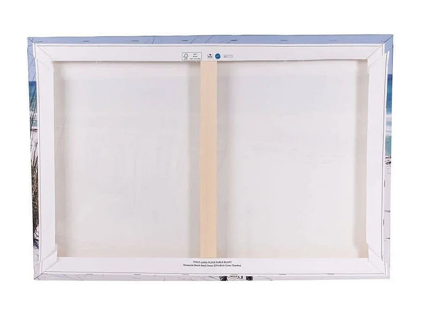 Tableau sur toile port de Saint-Aunes 45x65 cm